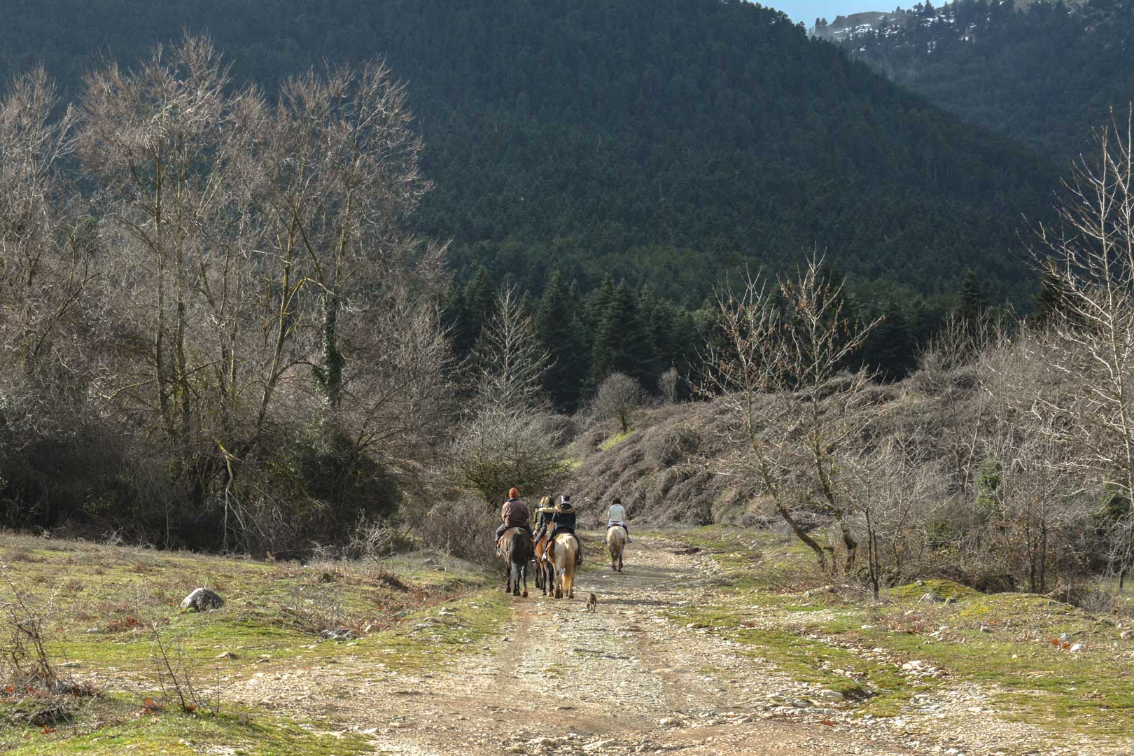  βόλτα με άλογα travelshare.gr
