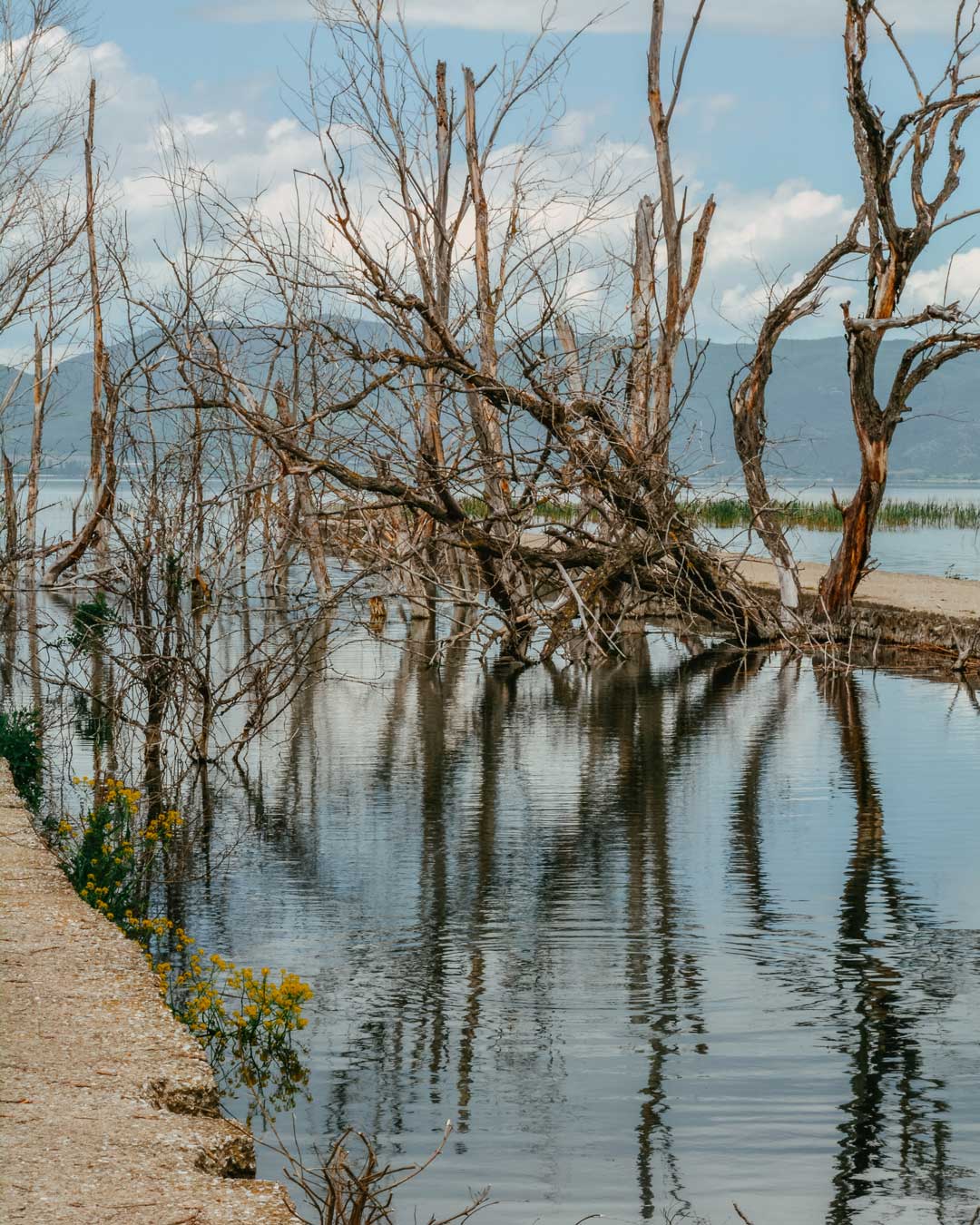 Λίμνη Δοιράνη φωτογραφία αποβάθρα