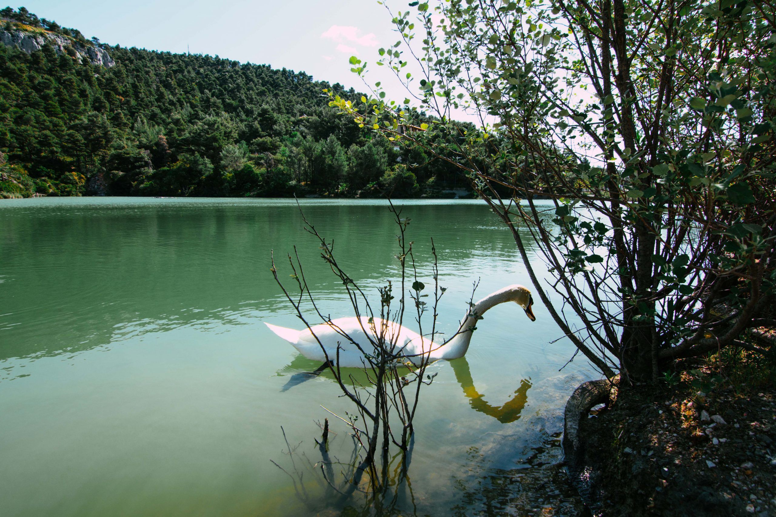 Στη λίμνη Μπελέτσι 2 travelshare.gr