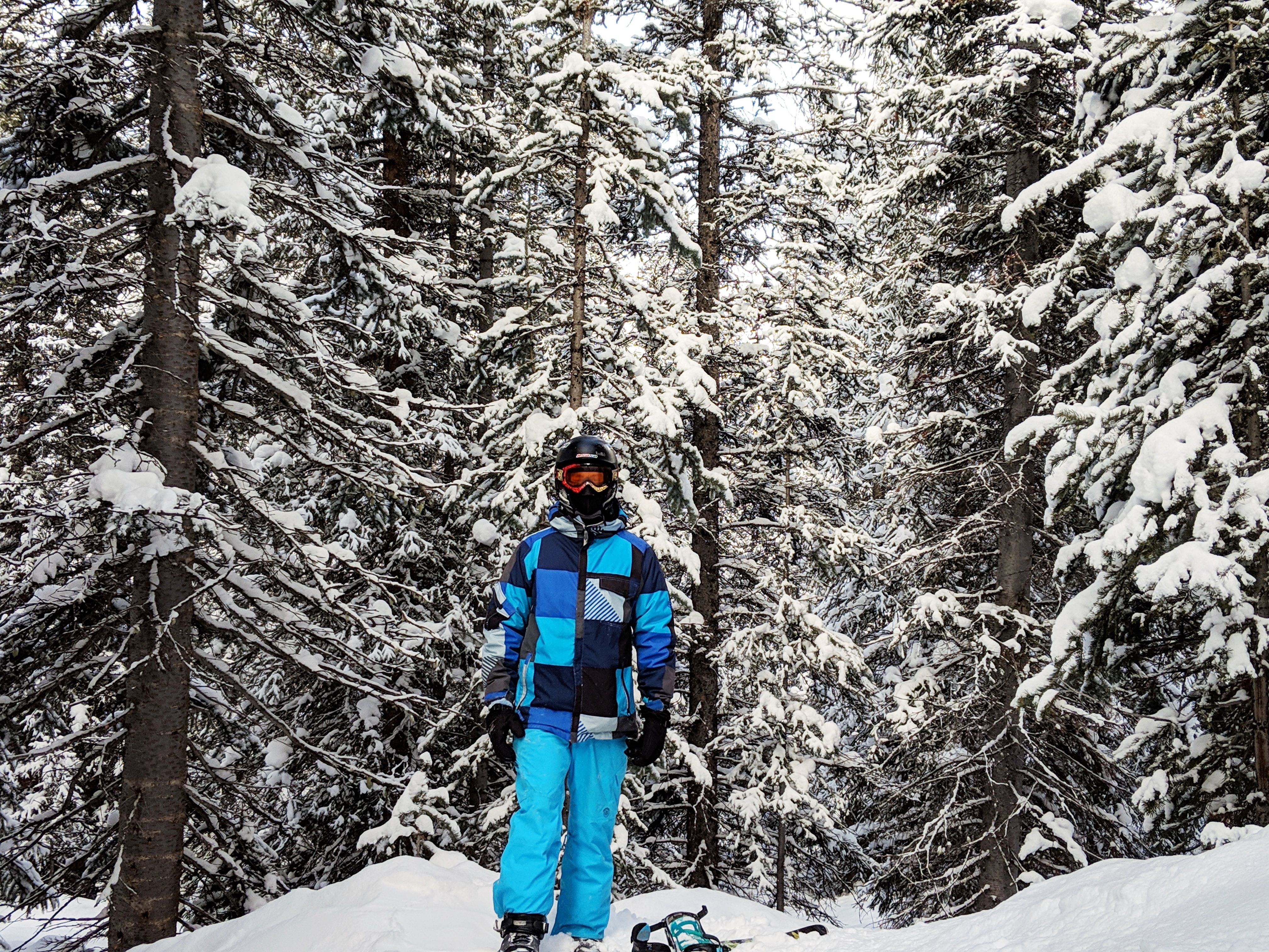 person wearing black ski masks standing near snow covered trees