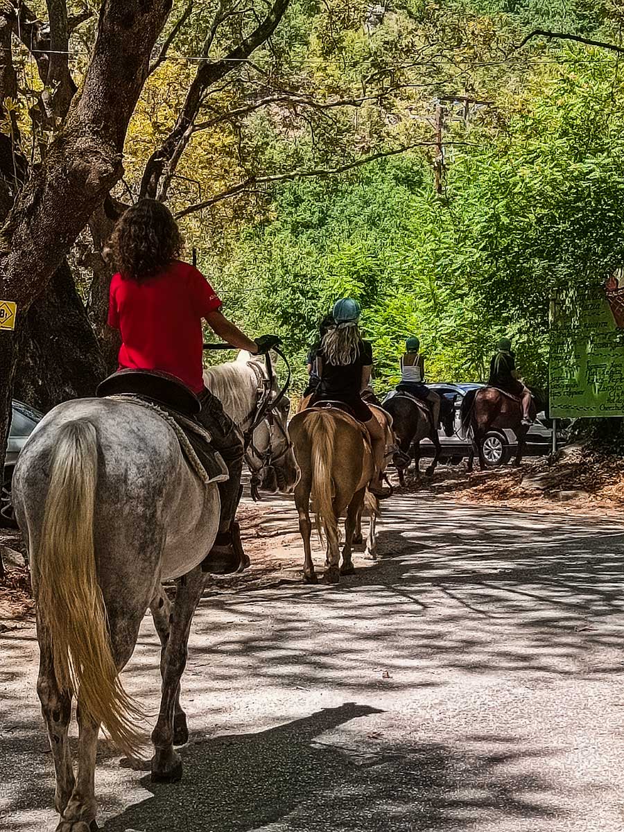 Άνω Πορόια βόλτα με άλογα- travelshare.gr