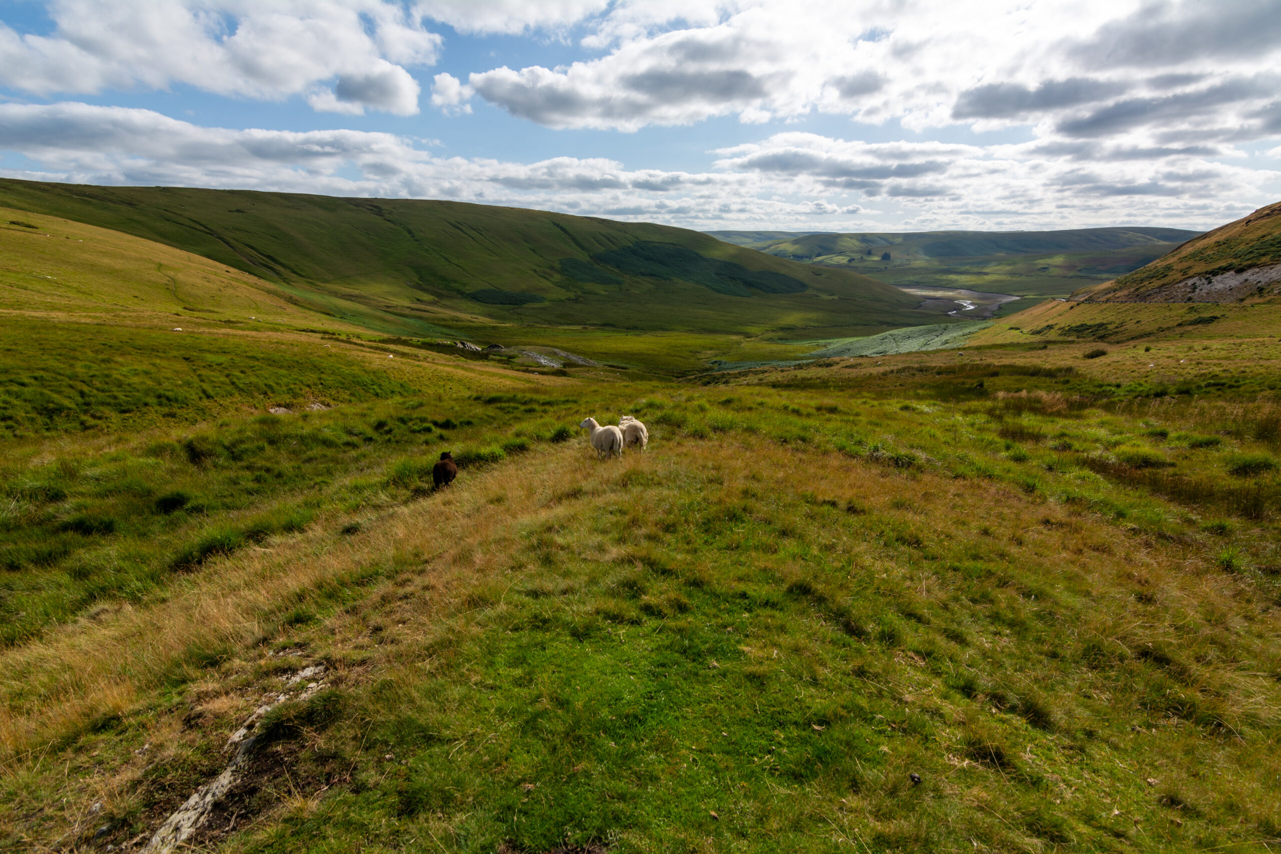 Elan Valley Ουαλία campervan travelshare.gr